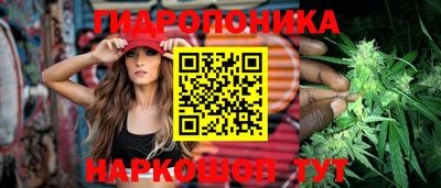 a pvp Владимир