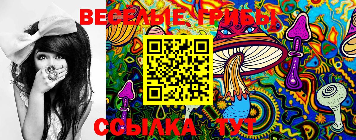 Псилоцибиновые грибы GOLDEN TEACHER Бийск